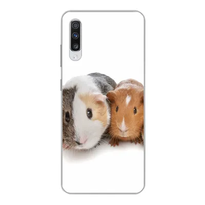 Produktbild von MuchoWow® Handyhülle Schutzhülle Hülle für Samsung Galaxy A70 Fünf Meerschweinchen Silikon Softcase Handy Hülle - Schutzhaube
