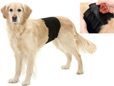 Produktbild von Karlie Hundeschutzhose für Rüden schwarz Gentleman Wraps Plus versch. Größen, Größe:L 74 cm B 23 cm