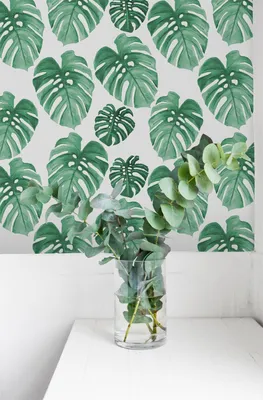 Produktbild von Coloray Fototapete 208x146 cm Vlies-Fototapete - Monstera verlässt Blatt.