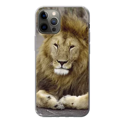 Produktbild von MuchoWow® Handyhülle Schutzhülle Hülle für iPhone 12 Pro Löwe - Afrika - Tier Silikon Softcase Handy Hülle - Abdeckung