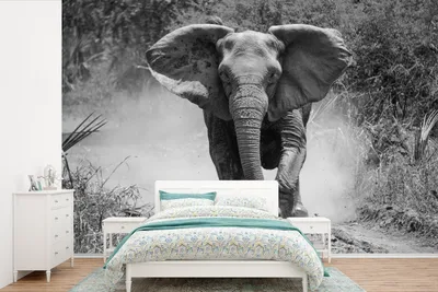 Produktbild von MuchoWow® Fototapete für Wohnzimmer oder Schlafzimmer Wandtapete Vinyl Motivtapete Laufender Elefant - schwarz und weiß - 600x400 cm - Vinyltapeten