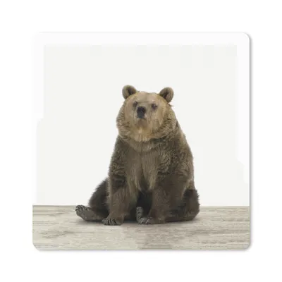 Produktbild von MuchoWow® Mauspad Mousepad Bär - Grizzly - Tiere 30x30 cm - Mousepads - Maus Mat - Pad - Mausunterlage - Gaming