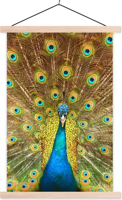Produktbild von MuchoWow® Textilposter Pfau - Vogel - Blau 40x60 cm mit holzfarbenen Rahmen - Poster