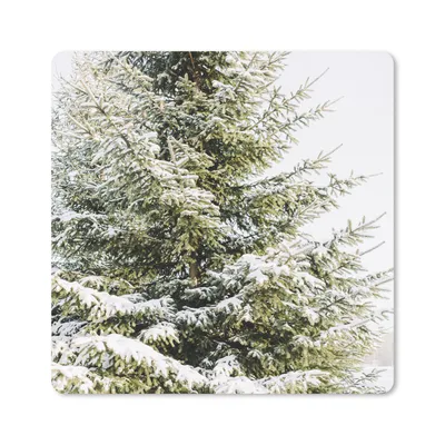 Produktbild von MuchoWow® Mauspad Mousepad Winter - Baum - Schnee 30x30 cm - Mousepads - Maus Mat - Pad - Mausunterlage - Gaming