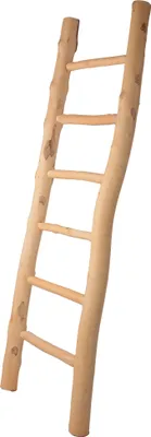 Produktbild von UNUS Deko-Leiter Handtuchleiter aus Holz stehend 150 cm in natur