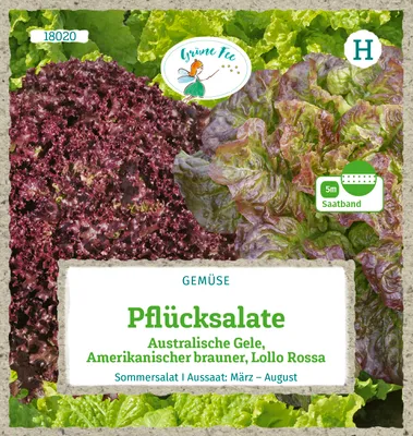 Produktbild von Grüne Fee - Pflücksalat 3 Sorten Saatband 5 m Samen - 18020