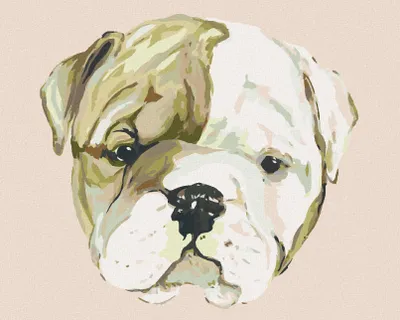 Produktbild von Zuty - Malen nach Zahlen - BULLDOGGE WELPE (HALEY BUSH), 40x50 cm, ohne Keilrahmen