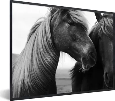 Produktbild von MuchoWow® Gerahmtes Poster Nahaufnahme von zwei Pferden 40x30 cm - Poster mit Schwarzem Bilderrahmen Wandposter Rahmen Foto Bilder - Kunstposter - Wanddekorationen