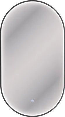 A modern oval mirror with integrated LED lighting, displayed against a white background.