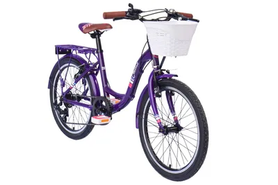 Produktbild von CHILLIZ Kinderrad 20 Zoll CHD.02 lila Rahmenhöhe 33 cm 6 Gänge V-Brake