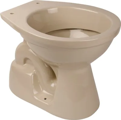 A close-up studio shot of a beige toilet bowl.