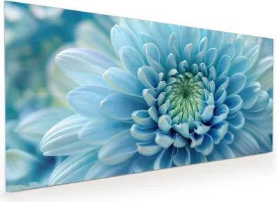 Produktbild von Küchenrückwand Spritzschutz Glas mit Motiv Blütenzauber 40 x 40 cm