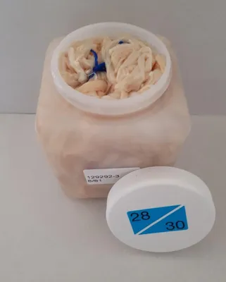 Produktbild von Schweinedarm Kaliber 28/30 91,4 Meter