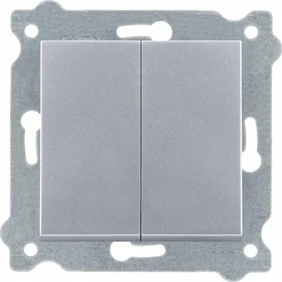 Image de Interrupteur double argent 202/10E EXEN