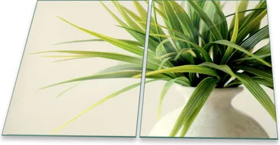 Produktbild von Herdabdeckplatte Glaskeramik 2-Teilig 2x40x52 Pflanzen Grün Abdeckung Spritzschutz