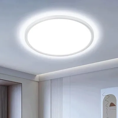 Zdjęcie produktu dla Lampa sufitowa LED okrągła 2400 lm zimna biel do łazienki sypialni kuchni