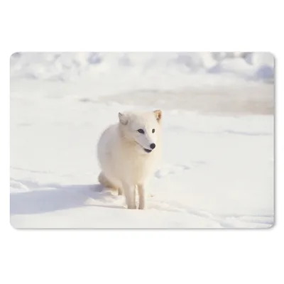 Produktbild von MuchoWow® Mauspad Mousepad Fuchs - Schnee - Weiß 27x18 cm - Mousepads - Maus Mat - Pad - Mausunterlage - Büroartikel - Desk Matten