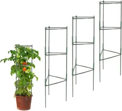 Produktbild von Famanu Tomatenstütze Set aus 3 Kletterpflanzen mit Gemüsegerüst - Verstellbares Rahmen für Tomaten