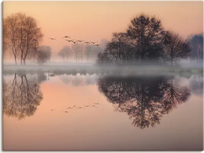 Produktbild von ARTland Leinwandbild Früh morgens am See.... Größe: 120x90 cm