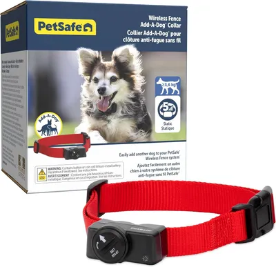 Obrázek produktu pro Obojek pro psa k bezdrátovému ohradníku PetSafe voděodolný
