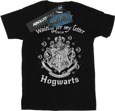 Produktbild von Harry Potter - "Hogwarts Waiting For My Letter" T-Shirt für Herren BI29471 (L) (Schwarz)