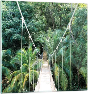 Produktbild von Bilder auf glas - Einteilig - Tropen Dschungel Brücke - 40x40cm - Glasbilder - Wandbilder - Bilder - zum Aufhängen bereit - Wanddekoration aus Glas - Glas Bilder - Wandbild auf Glas - GAC40x40-4963