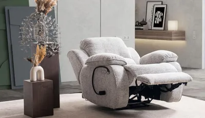 Image de Fauteuil multifonction Salon Canapé Rembourrage Relax Réglable Une place