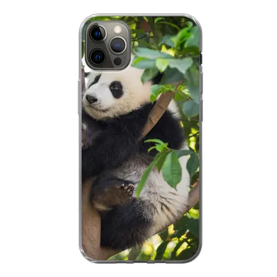 Produktbild von MuchoWow® Handyhülle Schutzhülle Hülle für iPhone 13 Pro Max Panda - Tier - Baum Silikon Softcase Handy Hülle - Mobiltelefon