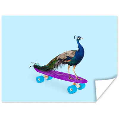 Produktbild von MuchoWow® Poster Pfau - Blau - Skateboard - Tiere - Lustig 120x90 cm - Wandbild