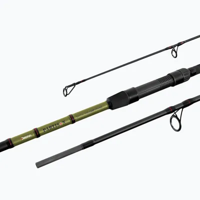 Immagine prodotto di Delphin PARTISAN Carpa 360cm/3.50lbs/3 parti
