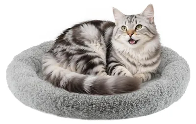 Katzenkissen rund 50 cm, Donutbett, Anti-Rutsch, waschbar, Grau