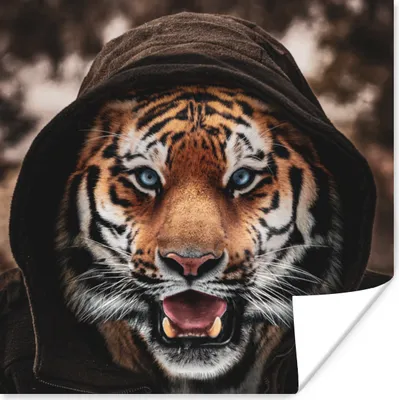 Produktbild von MuchoWow® Poster Tiger - Kleidung - Blau 50x50 cm - Wohnzimmerdekoration
