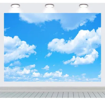 Imagen del producto de RUINI: Fondo fotográfico, cielo azul, nubes blancas, sol, 2,1 x 1,5 metros