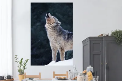 Produktbild von MuchoWow® Poster Wolf - Schnee - Tier 120x180 cm - Kunstposter