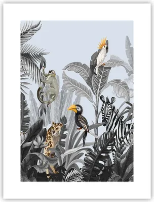 Produktbild von Poster - Poster ohne Rahmen - Dschungel Tiere Tukane - 30x40 cm - Wand Bild - Wanddeko - Wandbilder - Kunstposter - Wandposter - Bilder - Kunstdruck - Wanddekoration - Wandbild - P2XPA30x40-4662