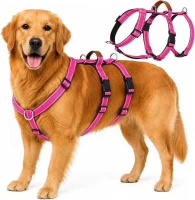 Imagen del producto de Arnés para perros, talla M, antiescapes, color rojo, para paseos seguros