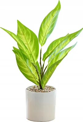Produktbild von Künstliche Topfpflanze, realistisch, 34 cm, Busch, Bonsai-Dekoration