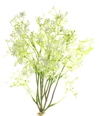 Produktbild von DEKO® FLORALE Sternblütenbund Weiß 40 cm aus 3 Stielen - Kunstblumen