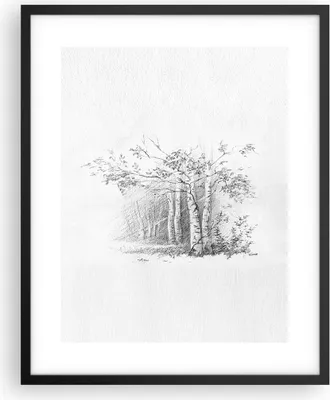 Produktbild von Gerahmtes Poster - Schwarzer Rahmen - Skizze Wald Birke - 40x50 cm - Wand Bild - Wanddeko - Wandbilder - Kunstposter - Wandposter - Bilderrahmen - Bilder - Kunstdruck - Wandbild - P2BPA40x50-4280