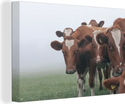 Obrázek produktu pro OneMillionCanvasses® - Obrazy na plátně - 140x90 cm, Krávy - Hnědá - Mlha, Nástěnné umění tisk Nástěnná dekorace - Fotografie na plátně - Obraz na dřevěném rámu