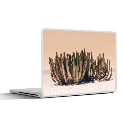 Produktbild von MuchoWow® Laptop Aufkleber Sticker Cover Kaktus - Pflanze - Natur - Grün 25x18 cm - Laptop-Deko