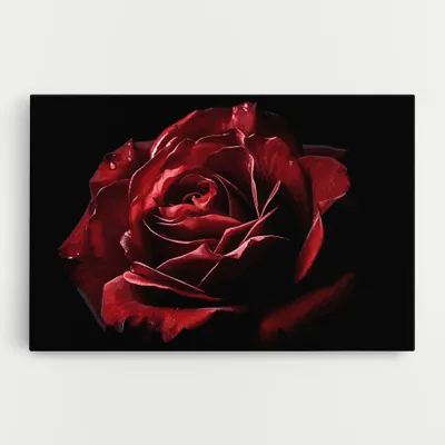 Produktbild von ARTHUB® Leinwandbild 50x70 cm, Big Red Rose | Wohnzimmerdekoration, Hängende Bilder, Wanddekoration, Heimdekoration, Blumen, Rosen