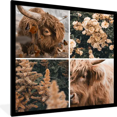 Produktbild von MuchoWow® Gerahmtes Poster Schottischer Highlander - Collage - Herbst 40x40 cm - Poster mit Schwarzem Bilderrahmen Wandposter Rahmen Foto Bilder - Mit Rahmen - Wanddekoration Schlafzimmer