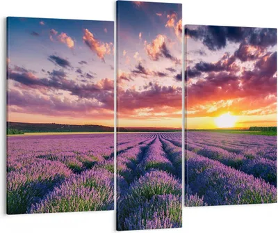 Produktbild von Bild auf Leinwand - Leinwandbild - Lavendel Berge Feld - 95x80cm - Wand Bild - Wanddeko - Wandbilder - Leinwanddruck - Bilder - Kunstdruck - Wanddekoration - Leinwand bilder - Wandkunst - CB95x80-3816