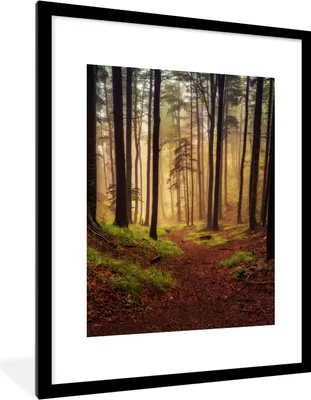 Produktbild von MuchoWow® Gerahmtes Poster Bäume - Natur - Wald 60x80 cm - Poster mit Schwarzem Bilderrahmen Wandposter Rahmen Foto Bilder - Wohnzimmer - Dekorationen - Prämie