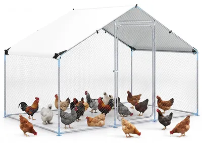 Produktbild von KOMFOTTEU Freilaufgehege Hühnerstall 3x8x2m, Hühnergehege 6㎡ mit sonnenbeständigem Dach, Drahtseitenwände & Riegelsystem-Tür, Tagesfreilauf für Hühner, Ente & Kaninchen