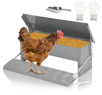 Immagine prodotto di Distributore automatico per mangime per polli ISOISL, capacità 5 kg, zincato, con pedana e accessori