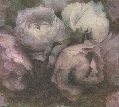 Produktbild von Livingwalls Rosentapete New Walls florale Tapete Romantic Dream Vliestapete violett grau weiß 10,05 m x 0,53 m