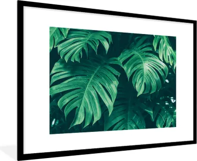 Produktbild von MuchoWow® Gerahmtes Poster Monstera - Blätter - Pflanzen - Dschungel - Natur 90x60 cm - Poster mit Schwarzem Bilderrahmen Wandposter Rahmen Foto Bilder - Wanddekoration - Fotos