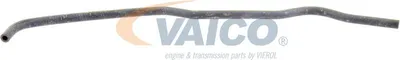 Immagine prodotto di Tubo radiatore VAICO Q+, qualità di primo impianto